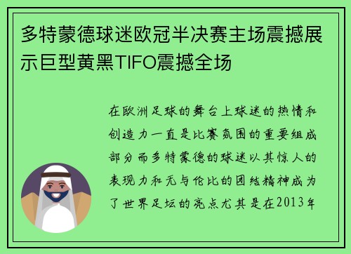 多特蒙德球迷欧冠半决赛主场震撼展示巨型黄黑TIFO震撼全场